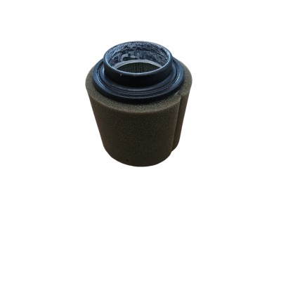 ASM.-FILTER
