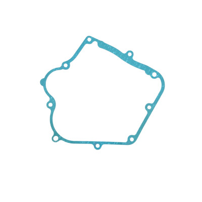 Těsnění převodovky RZR 200 Polaris 3055651