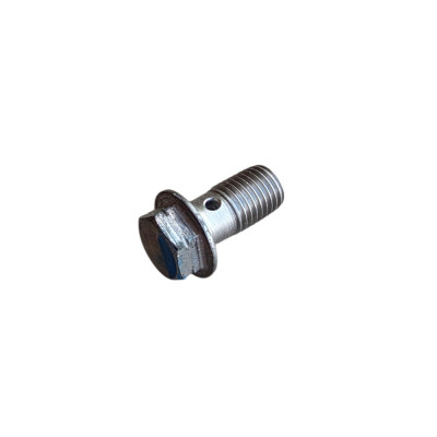 BOLT-BANJO 10MM X 1.25-6G